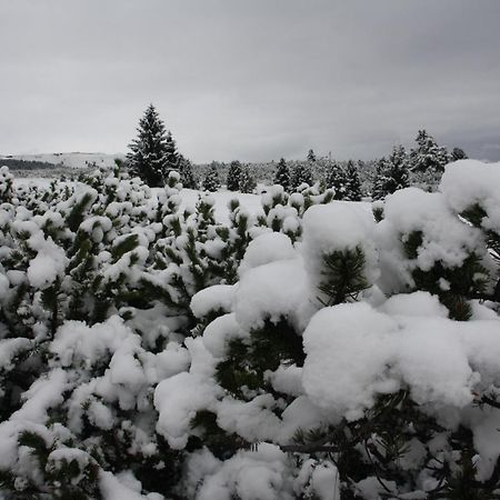Fewo Purper Frauenberg Dış mekan fotoğraf