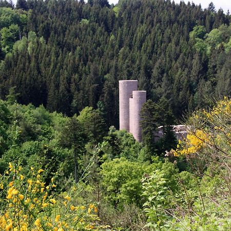 Fewo Purper Frauenberg Dış mekan fotoğraf