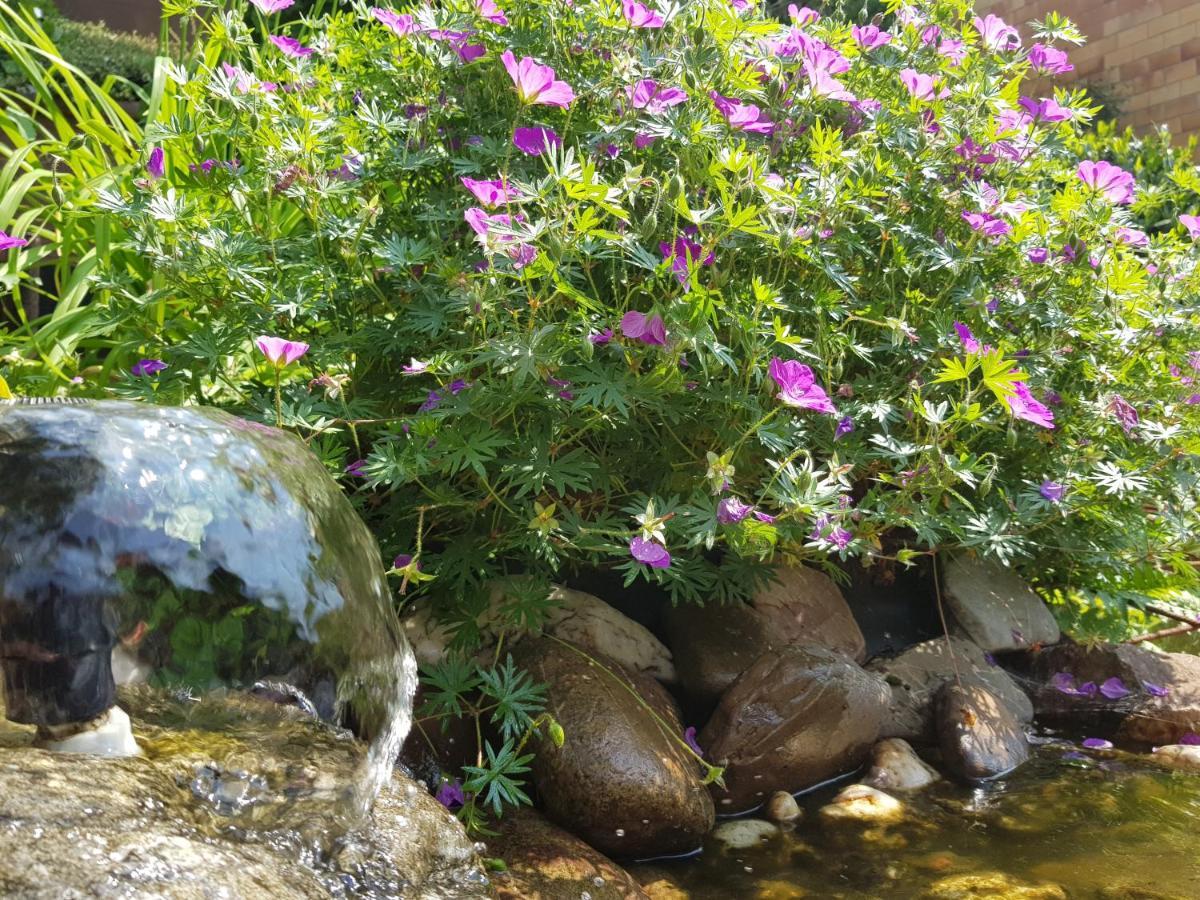 Fewo Purper Frauenberg Dış mekan fotoğraf