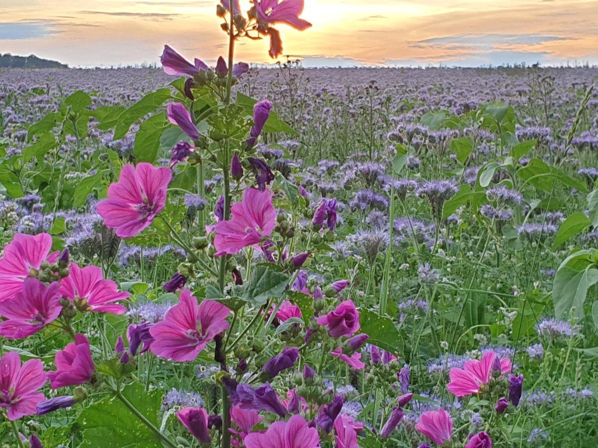 Fewo Purper Daire Frauenberg Dış mekan fotoğraf