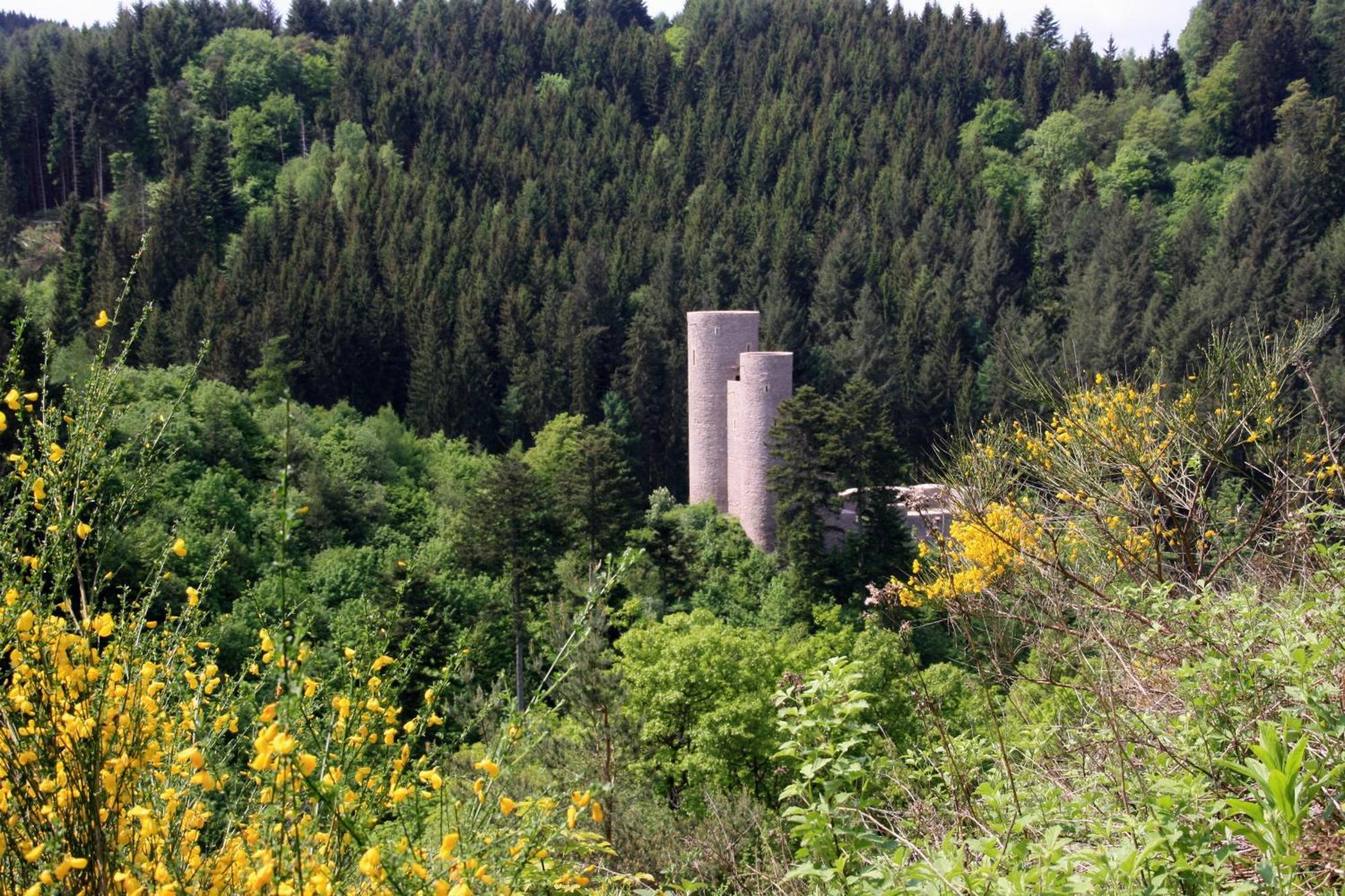 Fewo Purper Daire Frauenberg Dış mekan fotoğraf