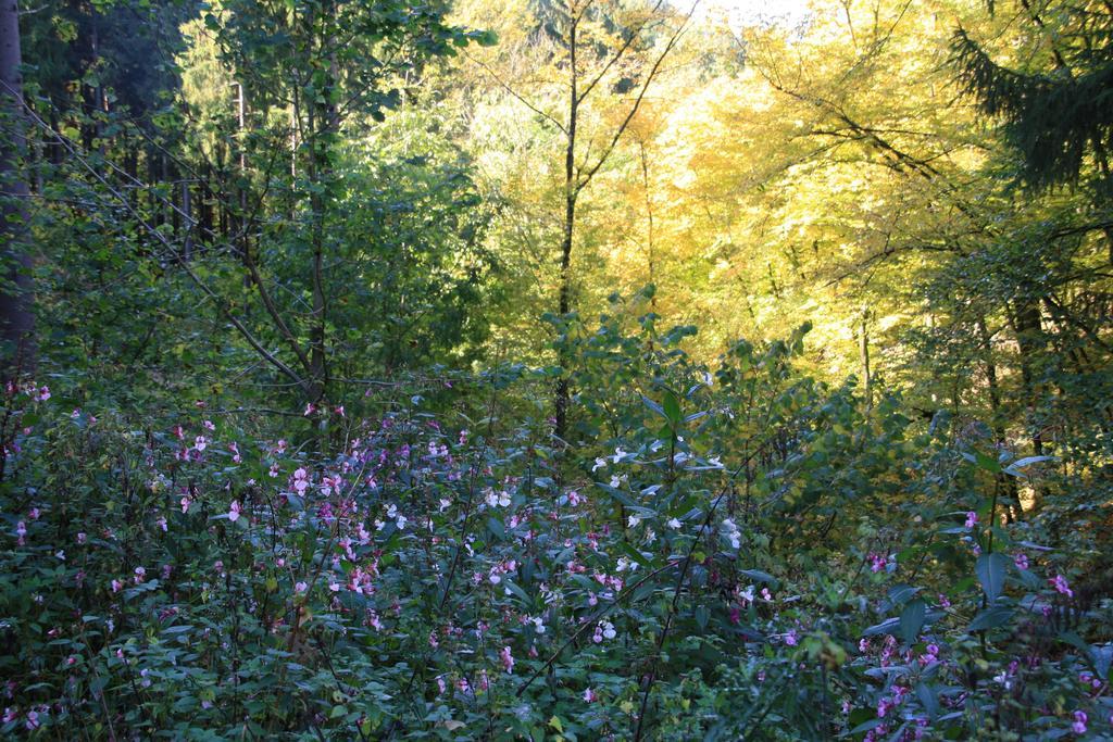 Fewo Purper Frauenberg Dış mekan fotoğraf