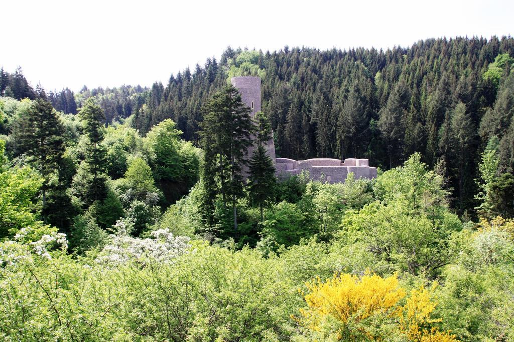 Fewo Purper Frauenberg Dış mekan fotoğraf