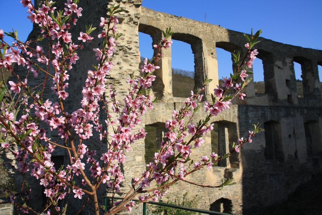 Fewo Purper Frauenberg Dış mekan fotoğraf